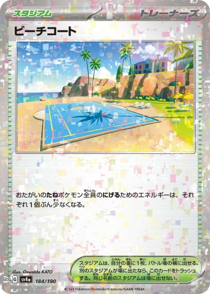 画像1: ビーチコート(ミラー/SV4a/ハイクラスパック仕様)【-】〈184/190〉 (1)